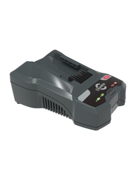 Cargador simple baterías Cramer 48V Cargador simple baterías Cramer 48V