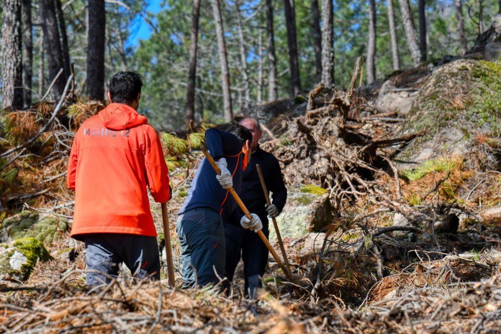 Monte 12 LNZ trail center